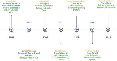 Alternative access in transcatheter aortic valve replacement—an updated focused review